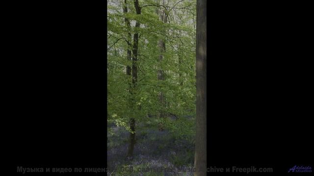 Природа через тепловизор будущего - новый взгляд на мир! - Thinking -- Duncan Reid and the Big Heads