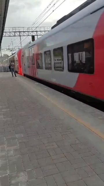 Ласточка на станции ГОЛИЦЫНО.