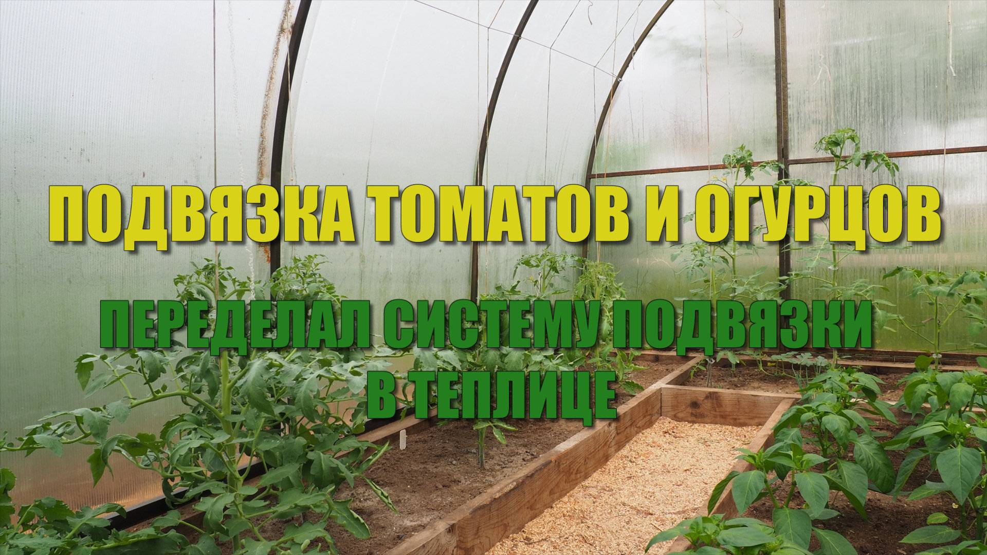 Подвязка томатов и огурцов в теплице. Пробую новый способ подвязки