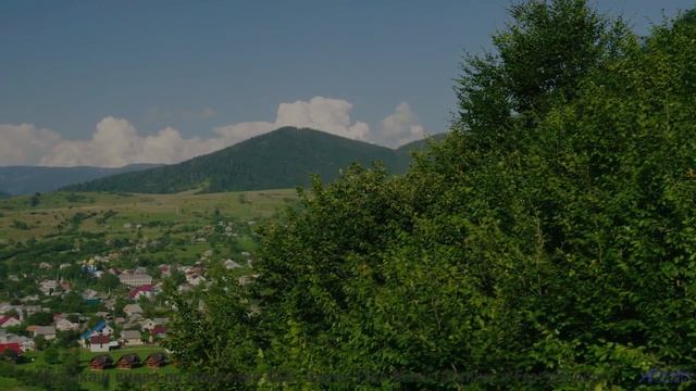 Лес превращается в сказку, стоит лишь включить звук - Letting Go Of The Past -- HoliznaCC0 -- Lo-fi