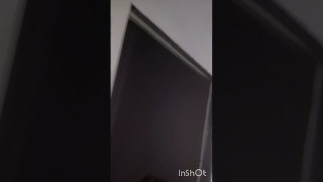 Приехал в Кыштым ставить двери...