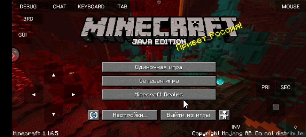 играю на реали ворлд стримс