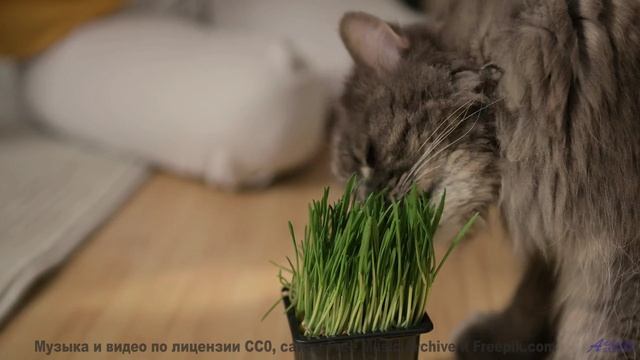 Мелодия делает горизонты ближе, чем когда-либо - Game On -- Soft and Furious -- Bae