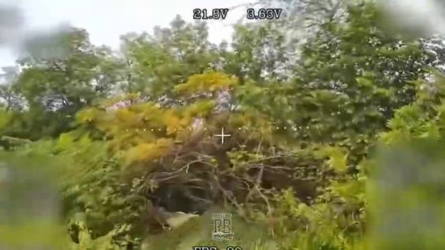 🎮Расчет БпЛА бригады «Неудержимые» взялся за благоустройство опорного пункта 113-й бригады...🔽🔽🔽