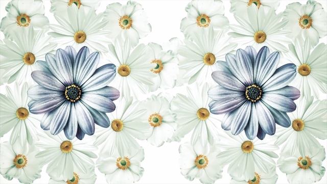 Футаж 2