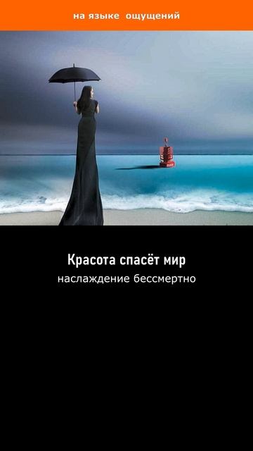 Красота спасет мир