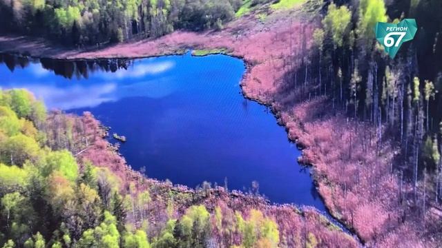 Что представит Смоленская область на Петербургском международном экономическом форуме