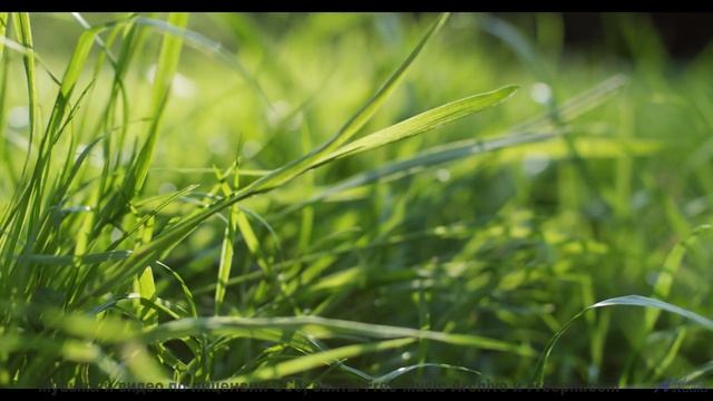Ты не сможешь забыть его, даже если захочешь! - A Happy Thursday Morning -- Kirk Osamayo -- Season T