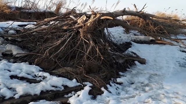 Пешком по льду Амура. Прогулка в 30 км.