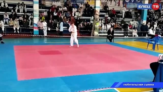 Елецкие каратисты завоевали 18 наград областного чемпионата и первенства по всестилевому каратэ