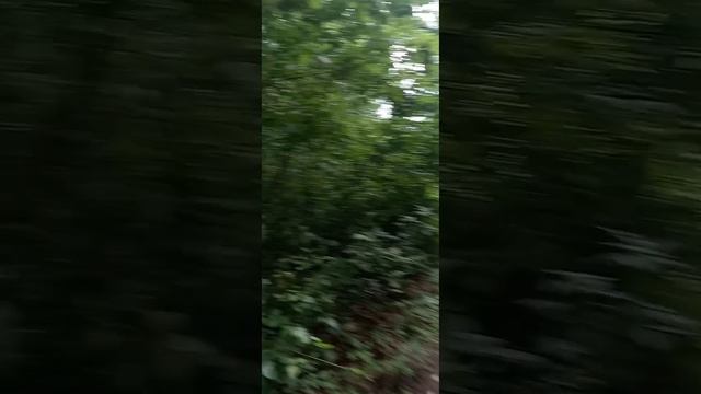 Затерянный мир