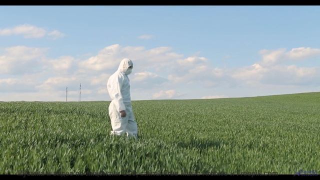 Музыка, которая звучит как обещание 'мы вернёмся сюда ещё раз' - TE DESPERTAI VIENDO EL TCM -- Compa