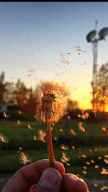 Покажу немного своих фото🙂