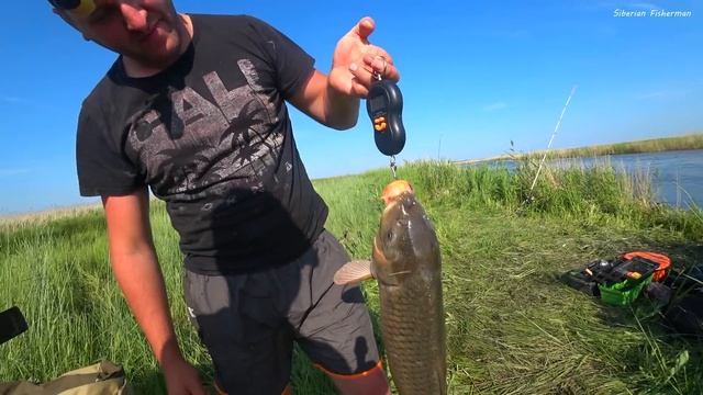 РЫБАЛКА НЕ ДЛЯ СЛАБОНЕРВНЫХ! ДИКИЕ САЗАНЫ ГНУТ ПАЛКИ ДО ВОДЫ И РВУТ КРЮЧКИ! Рыбалка на сазана 2025