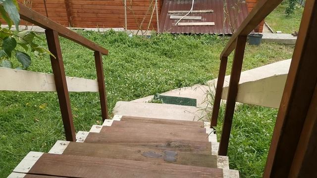 СОЧИ ГОРНОЕ ЛОО УТРО 18.06.2025