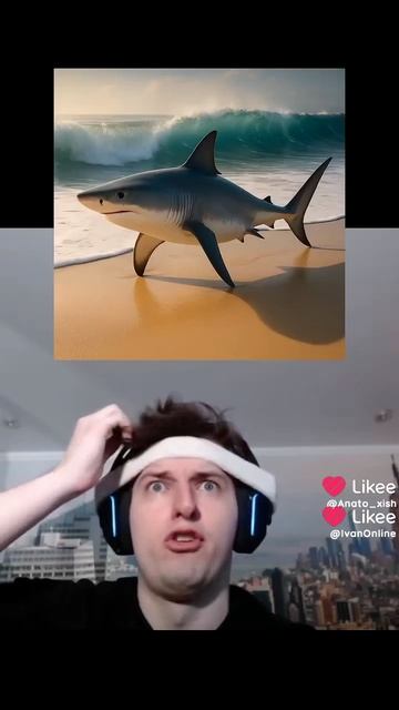 1000004864.mp4