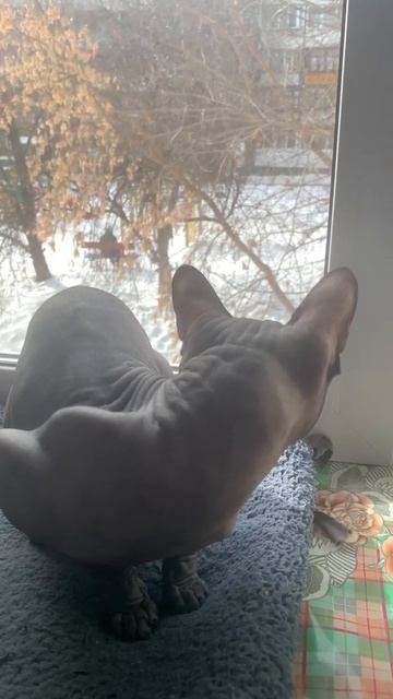 1 марта 2022 г.