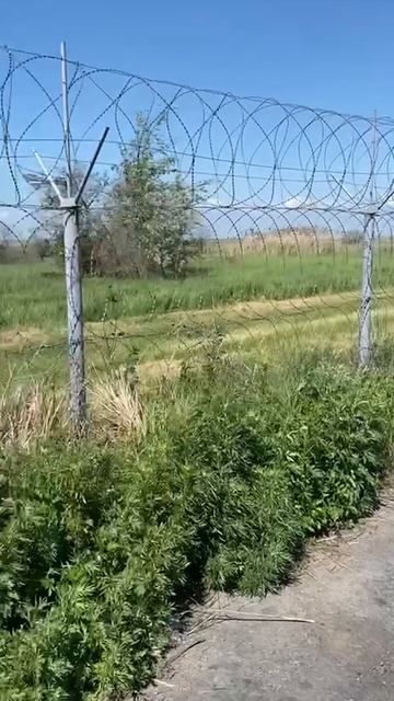 Обзор земельного участка Донская Чаша 6 соток . ул. Каштановая 1018.