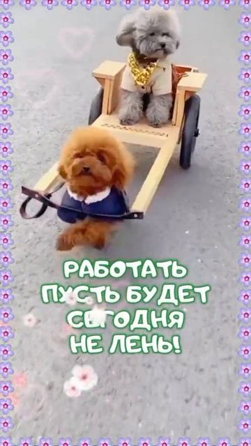 VID_20250618_213831_536.mp4