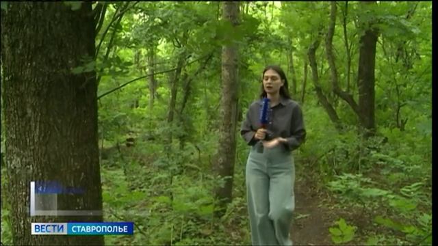 Поликлиника в ставропольском лесу