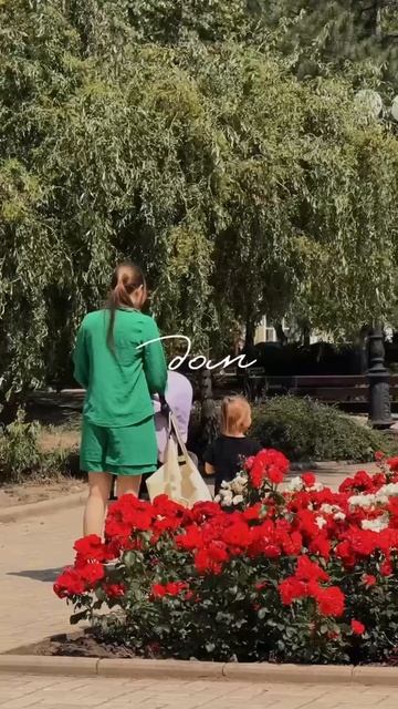 Летний Донецк — уютный, зелёный, родной❤️🔥❤️🔥❤️🔥