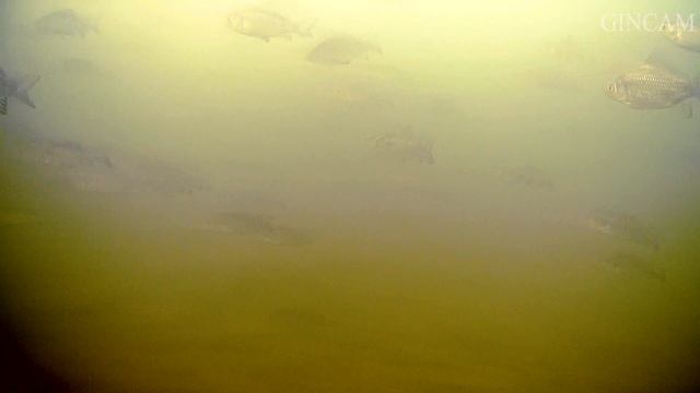 Часть первая Съемки сборок камер по водой собранные в ручную.