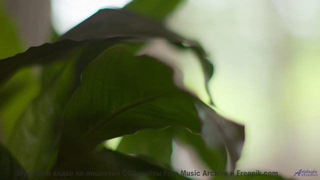 Ты НЕ ПРОЙДЁШЬ мимо этого! - My Word -- Derek Clegg -- Good Graces
