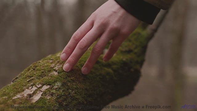 Это видео - как глоток свежего зимнего воздуха! - j-aime la musique -- Jean Toba -- first times