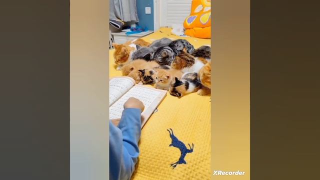 Это любофф: Дети и кисули😺🤗
