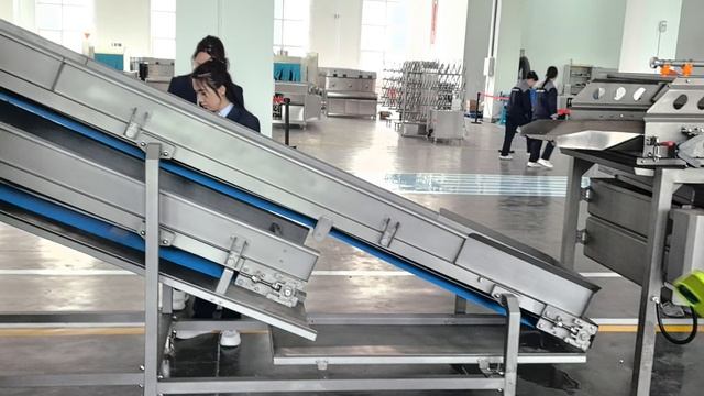 Линия автоматической нарезки, мойки и сушки овощей и фруктов от HENGER Россия