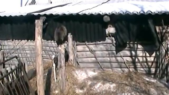 ДАЖЕ НЕЗНАЮ КАКОЙ ЭТО ГОД