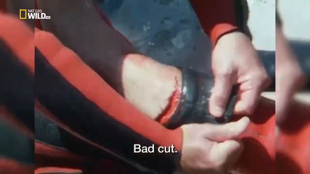 ☠️ Самые опасные убийцы | Опасная зона | Nat Geo Wild