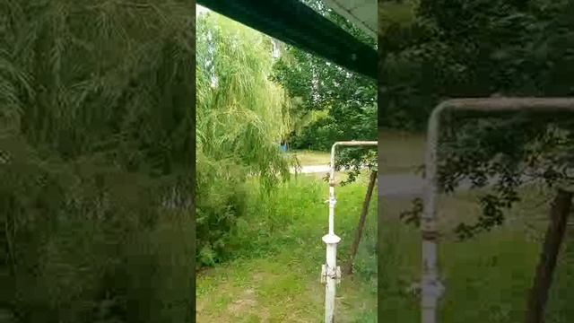 подвожу итоги травли дневной