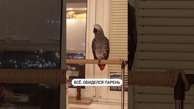 Валерка хулиган слова