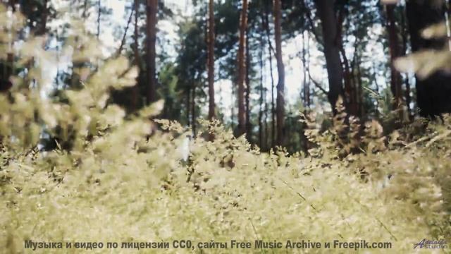 Музыка звучит так, будто сама планета говорит - rorschach -- Tinmouth -- Surprise time
