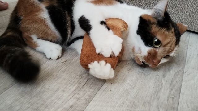 Снова Масенька 😆