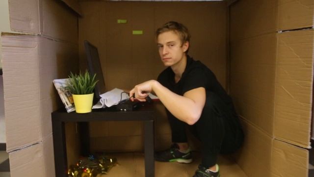 Аниматик протос финанс
