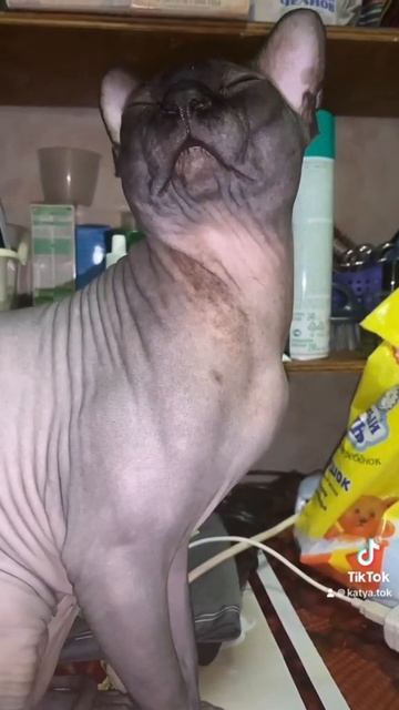 15 июля 2023 г.