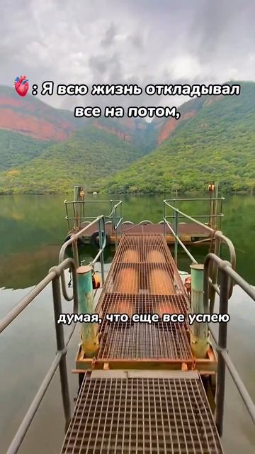 Это я к тому, что всем нужно побывать в ЮАР #кейптаун #africatour #юар #travel #туры #africancountry
