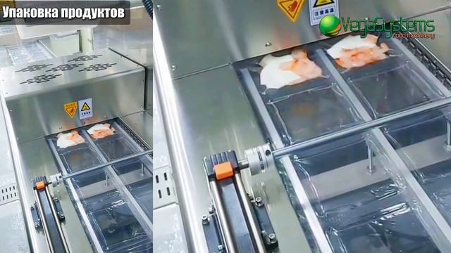 Термоформер для упаковки Vega Vac Termoformer  H320/420/520 I Упаковка продуктов