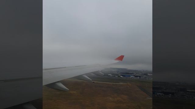 посадка в Стамбуле в тумане.