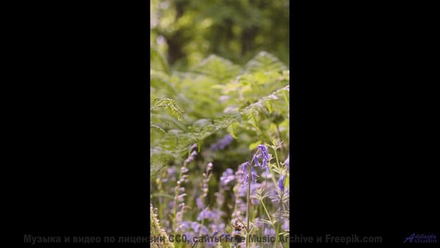 Вы никогда не слышали ничего подобного - это взорвет ваш разум! - Living Life -- Scott Holmes Music