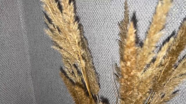 Мой выходной