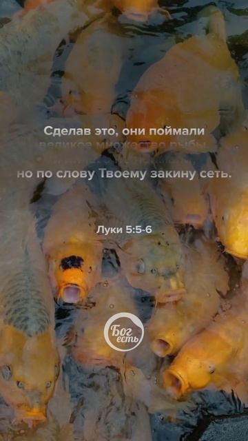 Луки 5:5-6