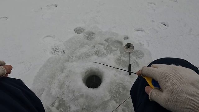 ЛОВЛЮ НА ЭКСПЕРИМЕНТАЛЬНУЮ БЛЕСНУ, ПОЙМАЛИ СУПЕР НАНО ОКУНЯ И ТАКУЮ ЖЕ ЩУКУ НА МАРОПЕДКУ!