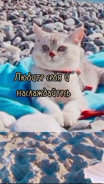доброе утро☀ 🌝⏰