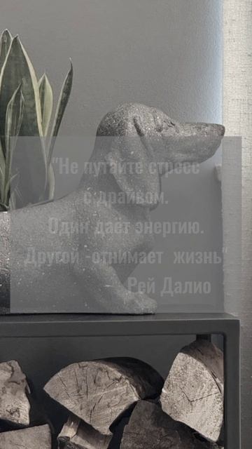 О болях и решениях для малого бизнеса, мы создали канал для предпринимателей.