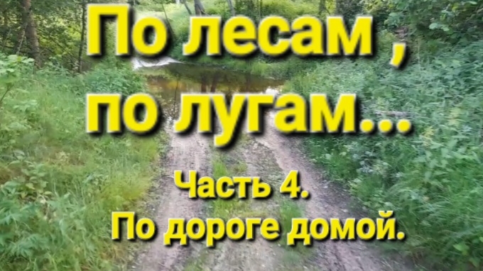 По лесам ,по лугам.... Часть 4. По дороге домой.