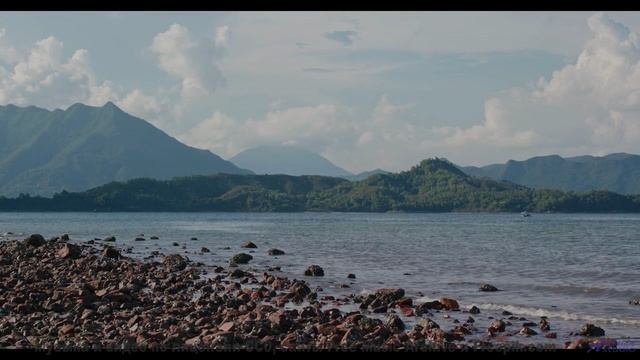 Горы, лес и звуки, которые делают момент волшебным! - Curious Jungle -- Podington Bear -- Haplessly