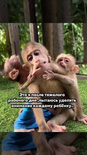 VID_20250618_213851_954.mp4
